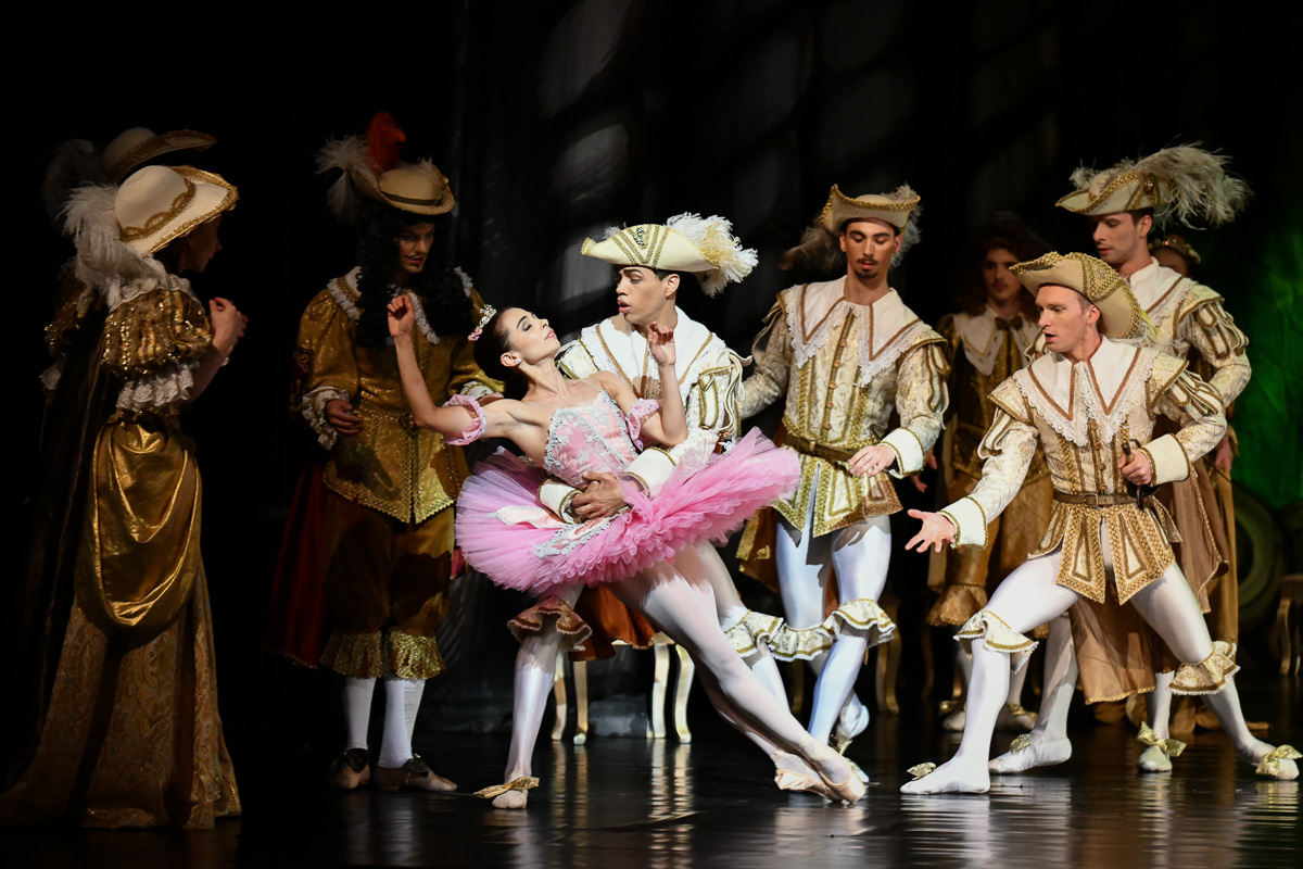 Baletní pohádka o Šípkové Růžence v Jihočeském divadle